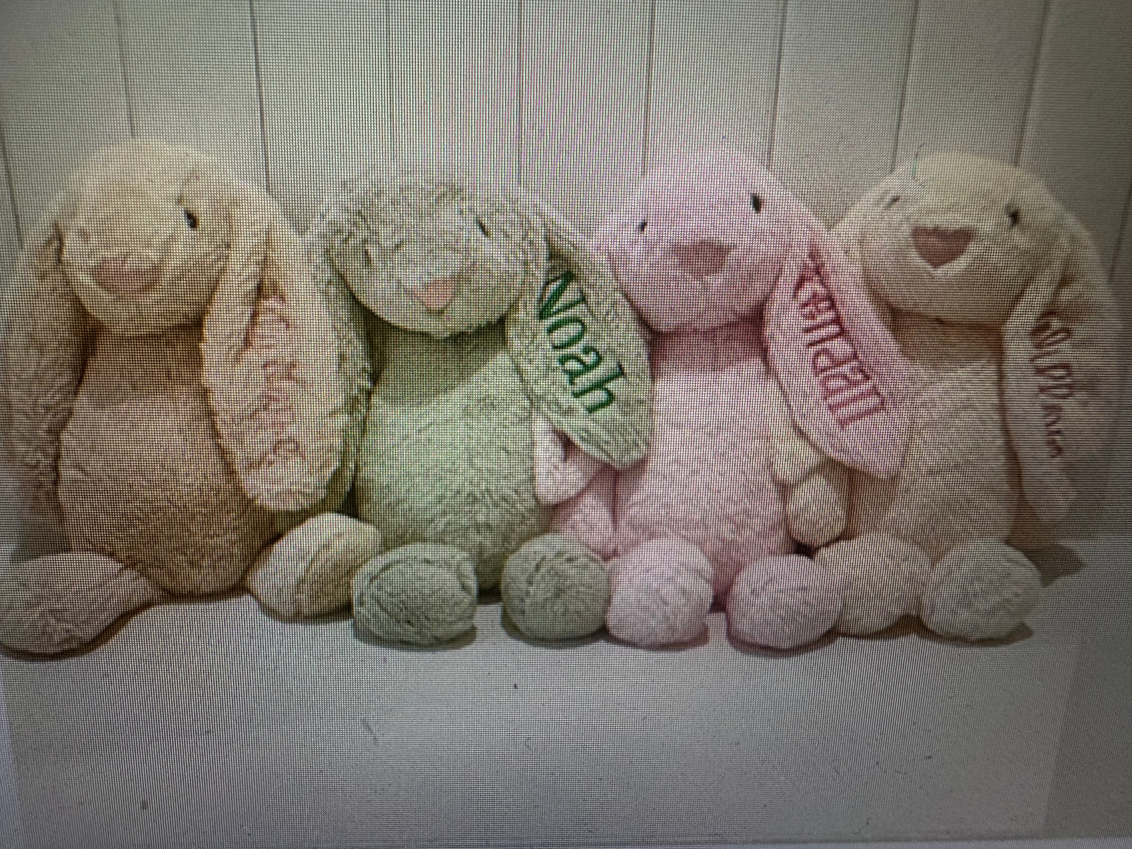 Custom Monogrammed Bunnies